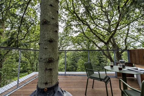 Lovtag architect designed treetop cabins in rural Denmark